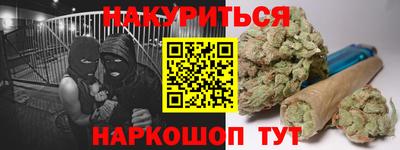 Альфа ПВП Малгобек